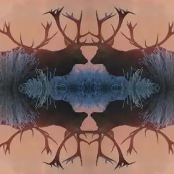 Feel the growing excitement from these ads in this week's Video Worth Sharing.